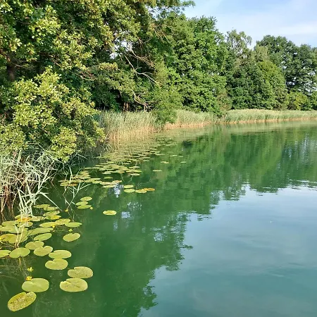 Jw Mazury Wakacyjne Nad Jeziorem-dom Orzel *