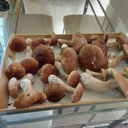 別荘 Jw Mazury Wakacyjne Nad Jeziorem-dom Orzel